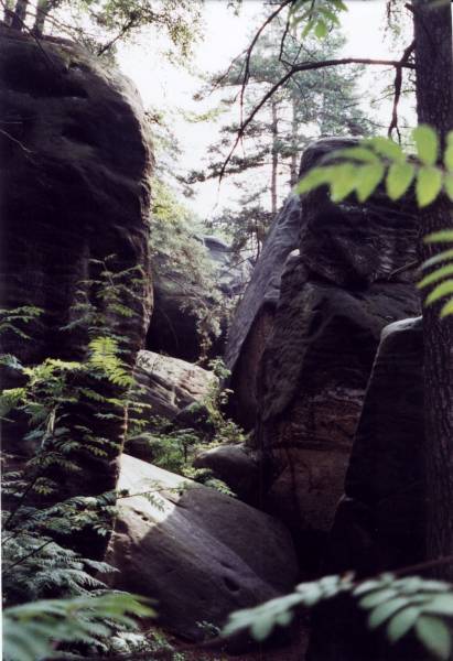 Felsenstadt Kalich